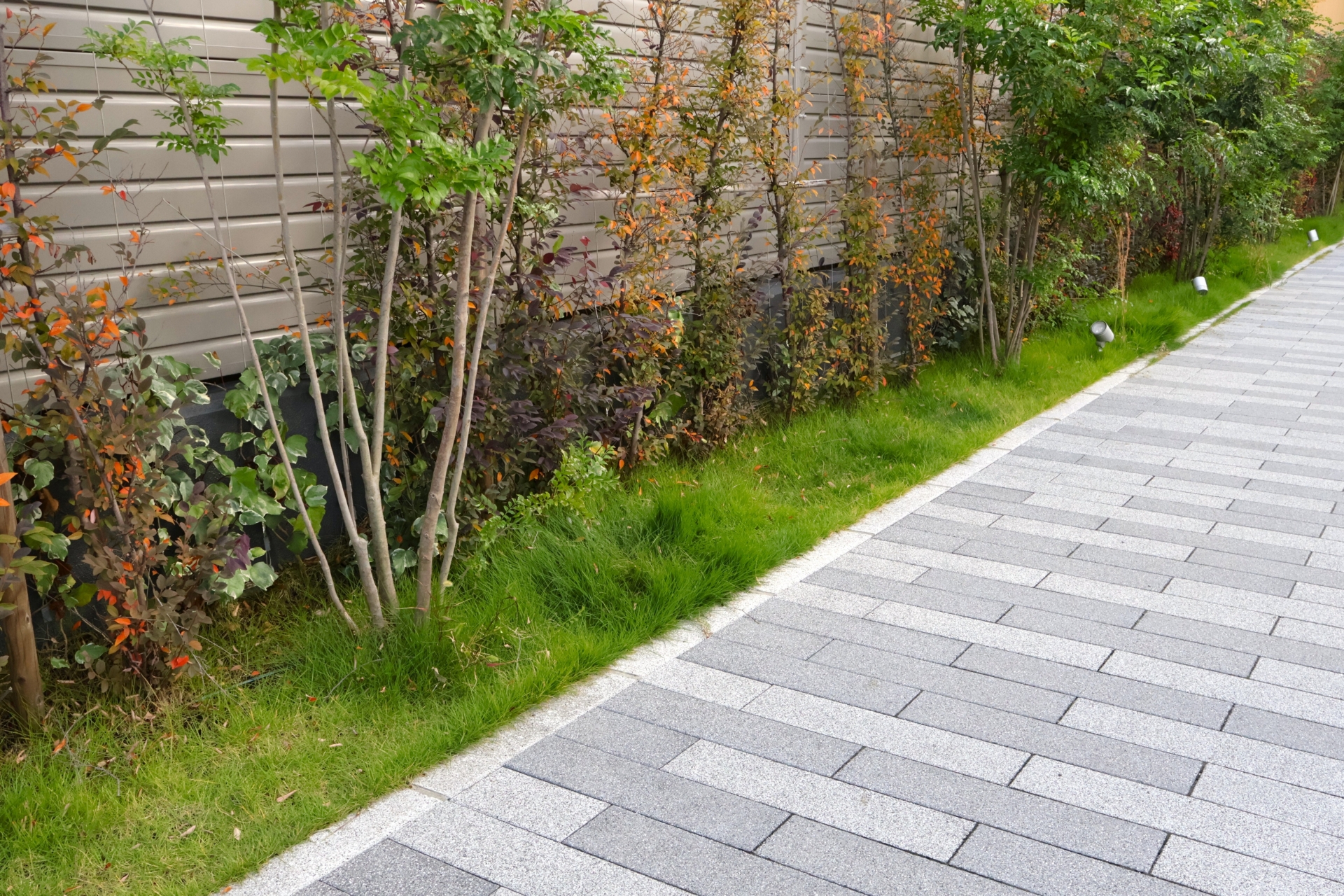 観音寺市で目隠しフェンスと植栽を組み合わせた庭づくりのイメージ